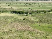 Vendo Campo 20 Has en Ruta 39 Concepción del Uruguay...