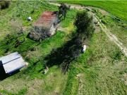 Vendo Campo de 16 Hectáreas en Col. Caseros, Entre Ríos