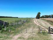 Vendo Campo de 349 hectáreas en Gualeguaychú, Entre Ríos