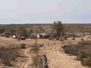VENDO CAMPO PARA CRIA Y RECRÍA
