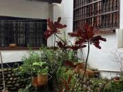 Vendo Casa En La Buitrera Km 6