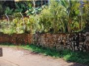 Vendo Casa Oportunidad de Negocio en Cristo Rey Vendo Casa Oportunidad de Negocio en Cristo Rey