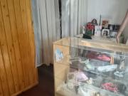 Vendo casa pleno centro de San Rafael, Mendoza. Con una...