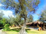 Vendo Conjunto con 8 cabañas en Villa de Leyva