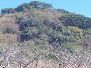 Vendo de remate terreno de 19 hectáreas