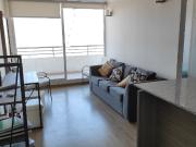 VENDO DEPARTAMENTO 2 DORMITORIOS EN CERRO PLACERES