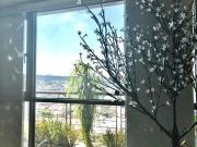 Vendo departamento en Be Grand San Angel con bodega, 3...