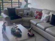 VENDO DEPARTAMENTO EN CUENTA AV ORDOÑEZ LAZO