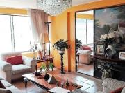 VENDO DPTO. SAN ISIDRO ACOGEDOR E ILUMINADO VISTA CALLE