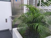 Vendo Dptos. de Estreno Surco