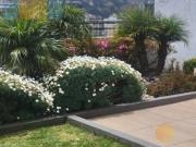 VENDO ELEGANTE DEPARTAMENTO DE 2 DORMITORIOS POR...