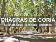 Vendo en chacras de coria importante propiedad de 4.000...