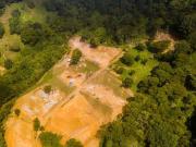 Vendo estos preciosos lotes excavados desde 160 millones...