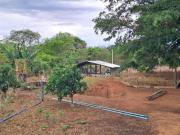 Vendo Excelente Propriedade Planaltina de Goiás 13.5Ha...