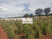 Vendo fazenda 288 alqueires na regiÃ£o Pium Vale do...