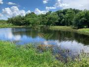 VENDO FAZENDA COM 294 ALQUEIRES TOCANTINS/GOIÁS FA00322