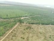 Vendo fazenda de 533 hectares na região de fruta de...