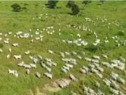 Vendo fazenda em Alvorada de Goiás