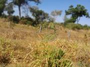 VENDO FAZENDA NA REGIÃO DE ARAGUAÍNA MT / BARRA DO...