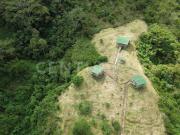 VENDO FINCA. 7 HECTAREAS EN A LEJANDRIA ANTIOQUIA