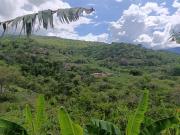 VENDO FINCA 7 Hectáreas en PANDI Cundinamarca