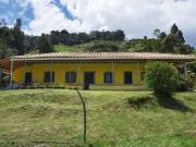 VENDO FINCA EN EL MUNICIPIO DE LA CEJA VEREDA LLANADAS