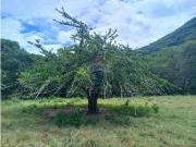 Vendo Finca en Guataqui