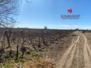 Vendo Finca en La Central Rivadavia