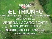VENDO FINCA EN VEREDA LÁZARO FONTE, PASCA CUNDINAMARCA