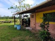 VENDO FINCA EN VILLAVICENCIO 64 HECTAREAS GANADERAS Y...
