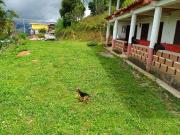 VENDO FINCA FAVORABLE EN BARBOSA ANTIOQUIA COLOMBIA