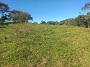 VENDO FINCA GANADERA A 5 MINUTOS DESDE YOLOMBÓ ANTIOQUIA
