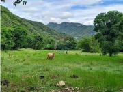 Vendo Finca Lote en Guataqui