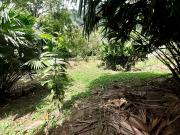 VENDO FINCA MELGAR TOLIMA. VEREDA AGUILA BAJA