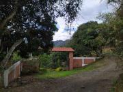 VENDO FINCA PRODUCTIVA REA 6 FANEGADAS. PACHO CUNDINAMARCA