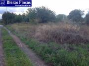 Vendo finca rustica en Cuatrovientos