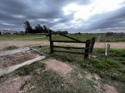 Vendo Granja Avicola con 23 Hectáreas en Caseros, Entre Ríos
