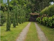 VENDO HERMOSA FINCA DE 6 CUADRAS CERCA A MANIZALES CALDAS