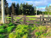 Vendo Hermosa Parcela en Frutillar Alto – 5.000 m² con...