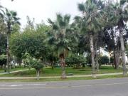 Vendo Hermoso Depa de Estreno Cerca a Parque Surco