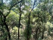 Vendo hermoso departamento en Tzompantle, exclusivo