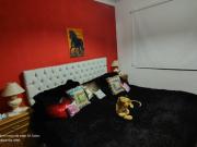 Vendo importante propiedad en San Rafael Mendoza