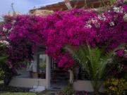 Vendo Linda Casa en Avenida Condominio Cocoa N 1, Casa...