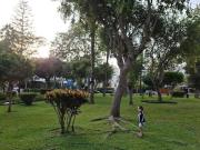 Vendo Linda Casa en Calle Las Moras N 2, Urb. Aurora,...