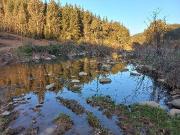 Vendo Lindo Campo en Docamavida – Curepto V 1318 400 RE...