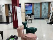 Vendo local 2.259m2 El Bosque 6834