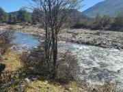 VENDO LOTE DE 11 HECTAREAS Y 2 HECTÁREAS, A 5 KM. DE...