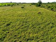 Vendo Lote de 1 Has en Villa Horacio, Colonia Caseros,...