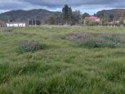 VENDO LOTE EN DUITAMA BOYACA VENDO LOTE EN DUITAMA BOYACA