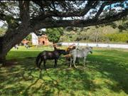 Vendo lote en el kilometro 43 san jose del salado 10...